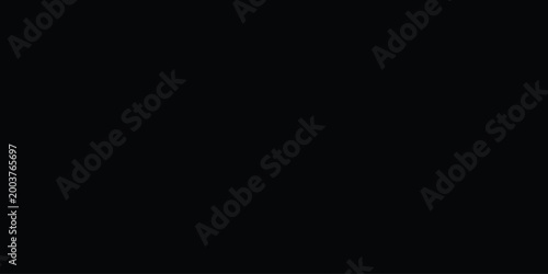 Black silhouette of a woman with a wedding veil female