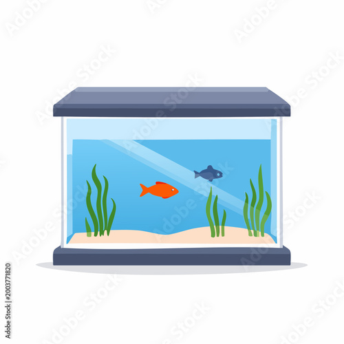 Aquarium with Two Fish and Aquatic Plants