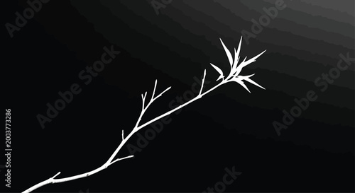 White Branch on Black Background