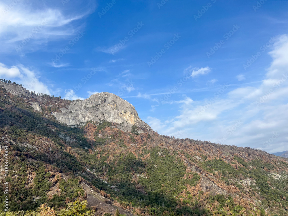 Naklejka premium Mountain landscape under blue sky in Yosemite National Park