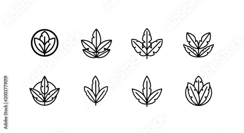 Set of Minimalist Leaf Icons for Organic Branding