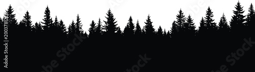 Evergreen Forest Silhouette on White Background