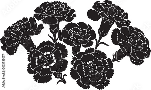 Fényképezés Black Solid Carnation Dianthus Flower Silhouettes Set of Six