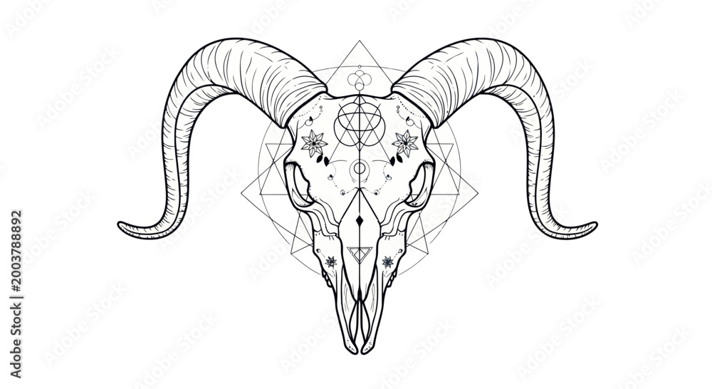 Fototapeta premium Mystical Ram Skull with Geometric Ornaments and Celestial Symbols Line Art