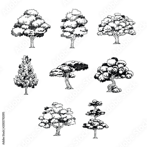 Hand Drawn Vintage Botanical Tree Illustration Set