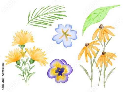 watercolor floral elements set: botanical wildflower and green leaves 