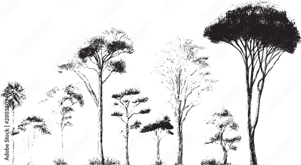 Fototapeta premium Architectural tree drawings with roots in minimal CAD style