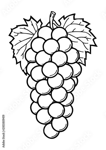 Grapes Coloring Page, A4 Size Printable
