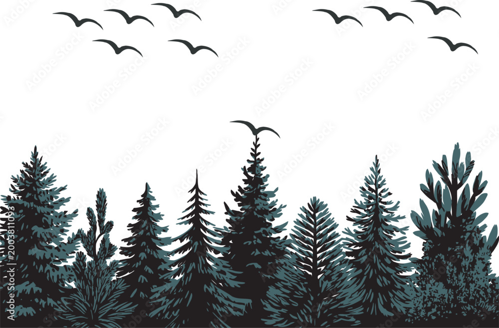 Obraz premium Evergreen forest landscape, pine trees silhouette, birds flying, nature scenery, wilderness background