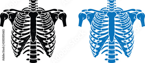 Human Rib Cage and Spine Anatomical Silhouette Icons in Black and Blue, vector, illustration, silhouette.