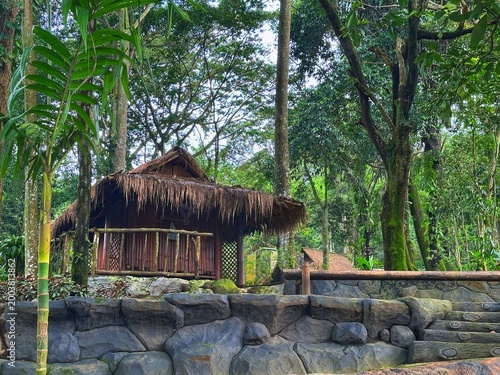 Foto A serene jungle scene with a hut amidst large rocks and trees