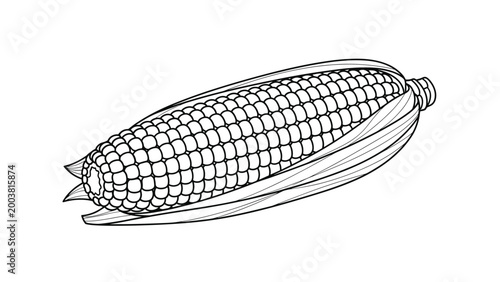 Realistic line art drawing of a fresh ear of corn with its husk partially peeled back to reveal the kernels on the cob.