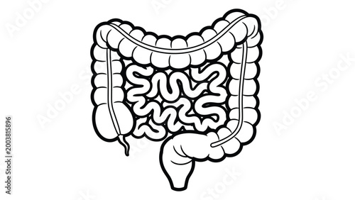 Human digestive system including large and small intestines shown as a black and white line art diagram for medical and anatomical education.