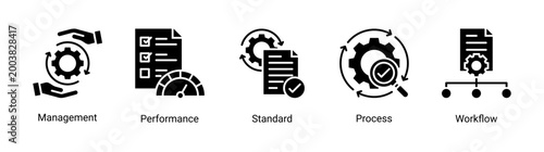 Process Management icon set featuring workflow,management,standard,and performance concepts.Ideal for business operations,system control,and productivity improvement.