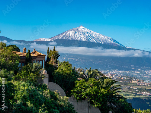 View of Mount Teide, near La Matanza, with palm trees in the foreground.
