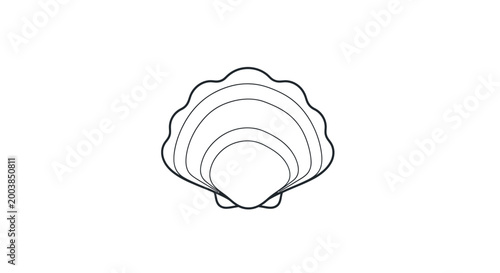 Bild auf Leinwand Detailed illustration of a seashell.