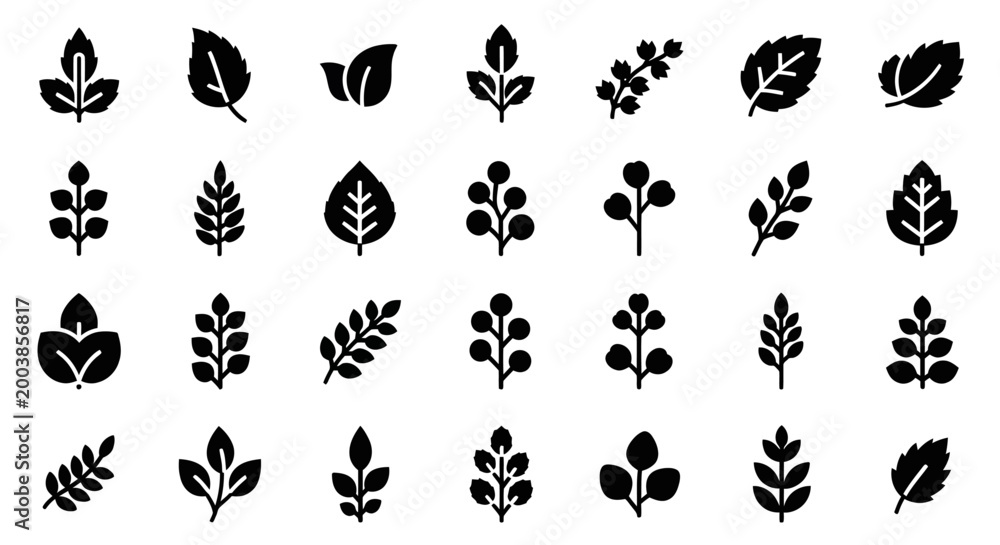 Fototapeta premium Black Leaf Silhouette Icon Set Minimal Botanical