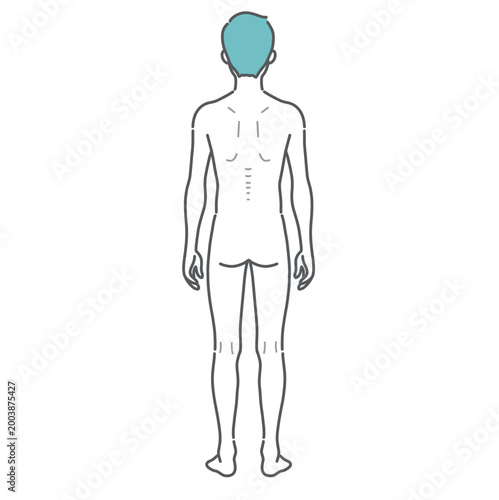 痩せ型の成人男性の全身イラスト（後ろ姿）
