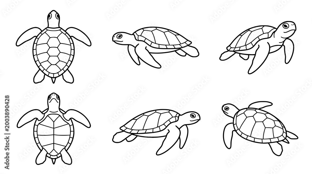 Obraz premium Line art turtle collection perfect for educational design use.