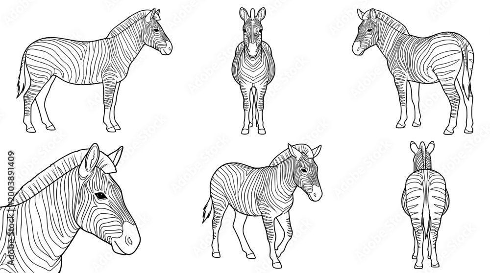 Fototapeta premium Elegant Line Art Zebra Collection for Animal Lovers and Artwork
