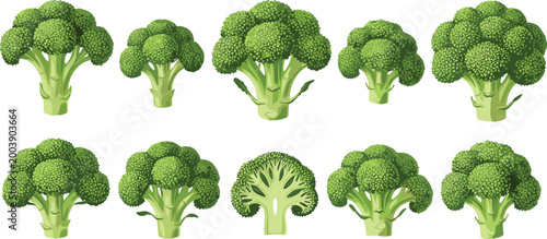 Photos Set of Fresh Green Broccoli Icons Featuring Whole Florets and Cross Section View