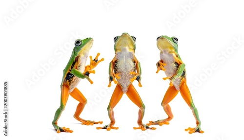 Three colorful frogs standing together on a white background.