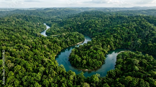 Aerial view of lush green forest with winding river, serene natural landscape, drone shot, vibrant foliage, scenic valley, tranquil atmosphere, expansive treetops, rolling hills, misty horiz