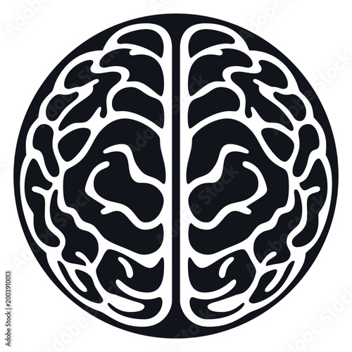Detailed vector illustration of the human brain anatomy showing the cerebral cortex and cerebellum as a symbol of medical science, mental health, and intelligence isolated on a white background