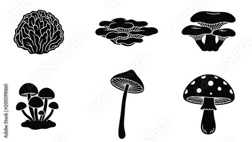 Diverse Fungi Silhouettes Set: Black Mushroom Icons Collection for Design