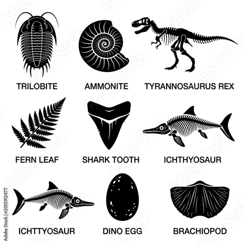 black and white vector silhouette set of fossils