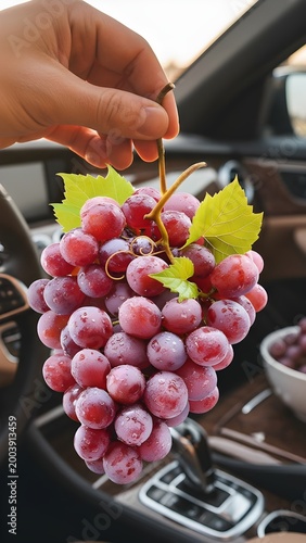 Fresh Red Grapes Cluster Held by Hand Inside Luxury Car Interior, Healthy Snacking on a Road Trip, Premium Lifestyle Travel Concept
