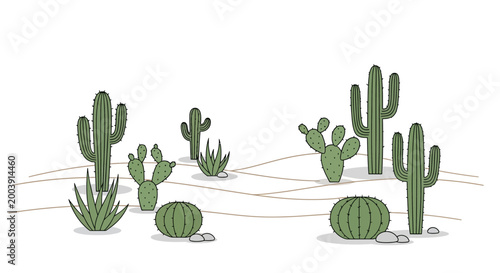 Green cacti plants in desert.
