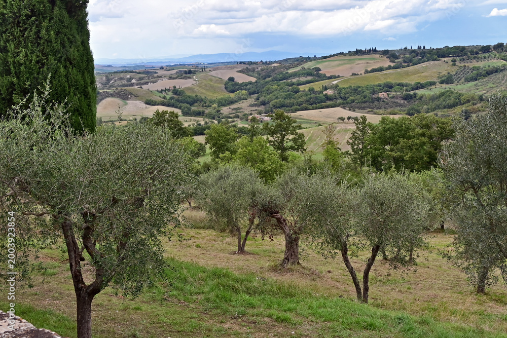 Naklejka premium Camprena, il panorama sulle colline del senese dal Monastero di Sant'Anna in Camprena, Siena, Val d'Orcia, Toscana