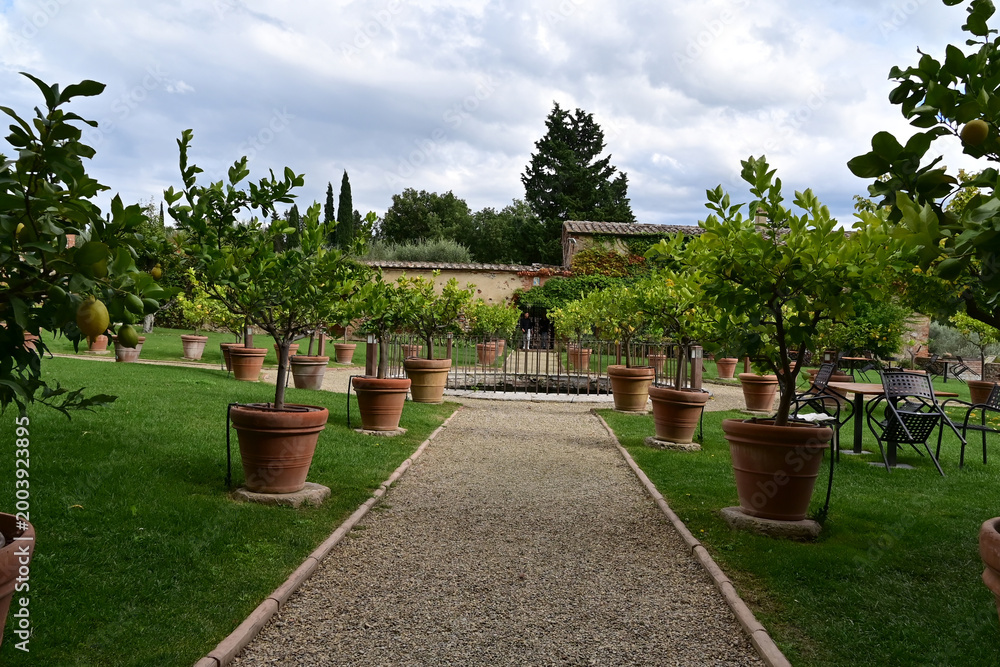 Fototapeta premium Camprena, Monastero di Sant'Anna in Camprena, Siena, Val d'Orcia, Toscana