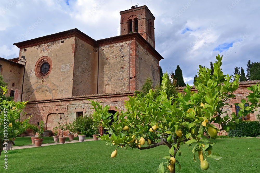 Fototapeta premium Camprena, Monastero di Sant'Anna in Camprena, Siena, Val d'Orcia, Toscana
