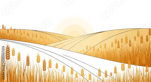Fotografie Golden Wheat Ears in a Field.