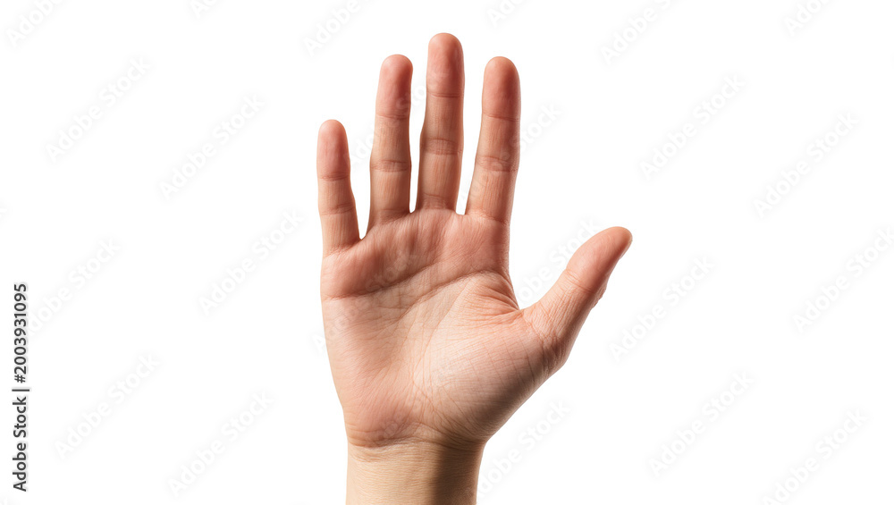 Fototapeta premium Human hand palm raised gesture against plain surface