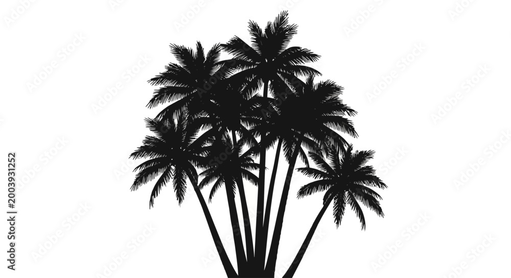 Fototapeta premium Silhouette of multiple palm trees.