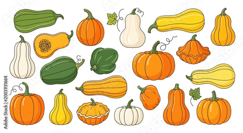 Foto Variety of colorful squash and pumpkins.