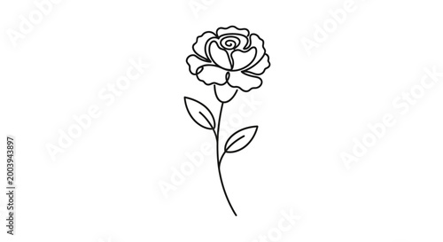 Fotografija Black and white single rose flower.