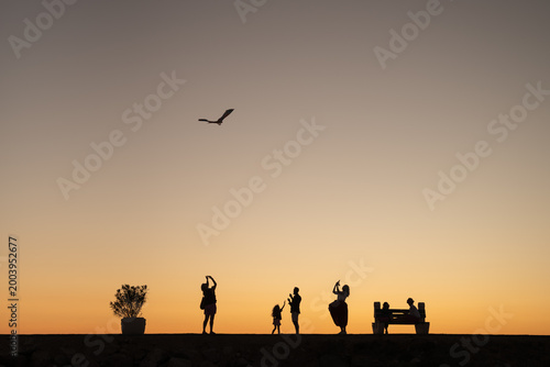 Foto People silhouettes watching bird at sunset sky