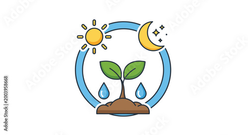 seedling with sun moon and water drops vector illustration