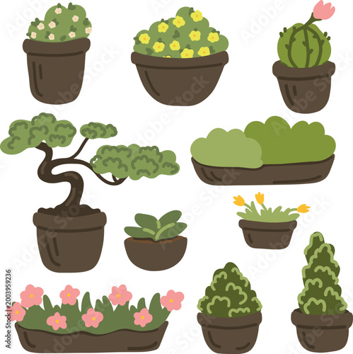 Indoor plants in pots set. Flowering plants, leafy green plants, cactus, bonsai tree, small shrubs and decorative indoor greenery in different pots.