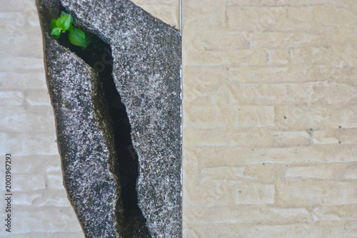 Crack runs through dark gray stone, sharp and deep