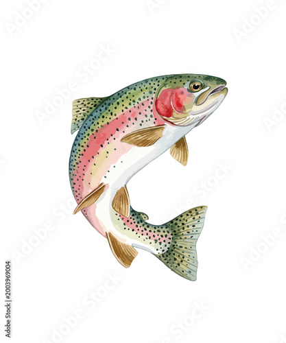 Cuadro en lienzo Watercolor rainbow trout illustration, jumping freshwater fish with colorful sca