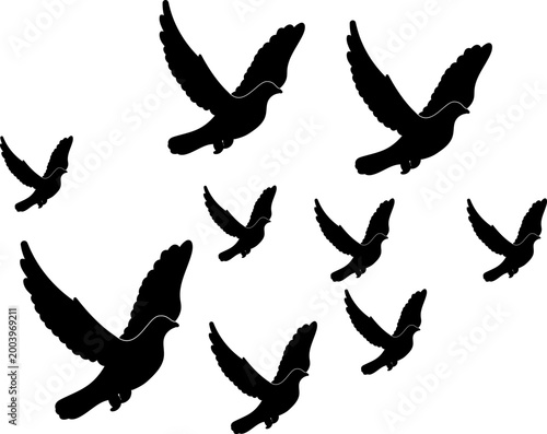 Silhouette of a Flock of Flying Birds