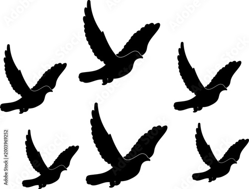 Silhouette of a Flock of Flying Birds