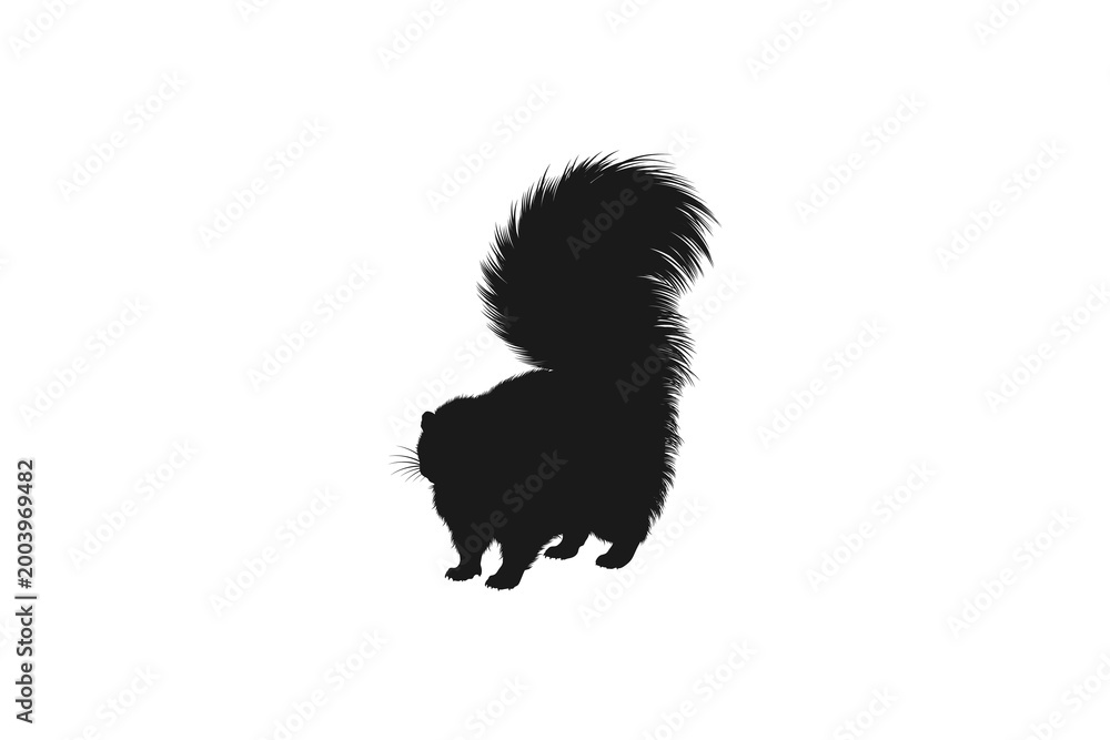 Fototapeta premium Silhouette of a skunk with a fluffy tail standing isolated on white