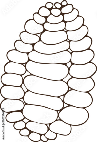 Cacao Pod Minimal Line art Vector Illustration, Isolated Clipart Element on Transparent Background, Hand Drawn Naive Scandinavian Style