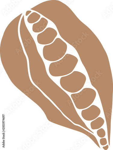 Cacao Fruit Flat Minimal Vector Clipart, Isolated Hand Drawn Simplified Style Illustration
